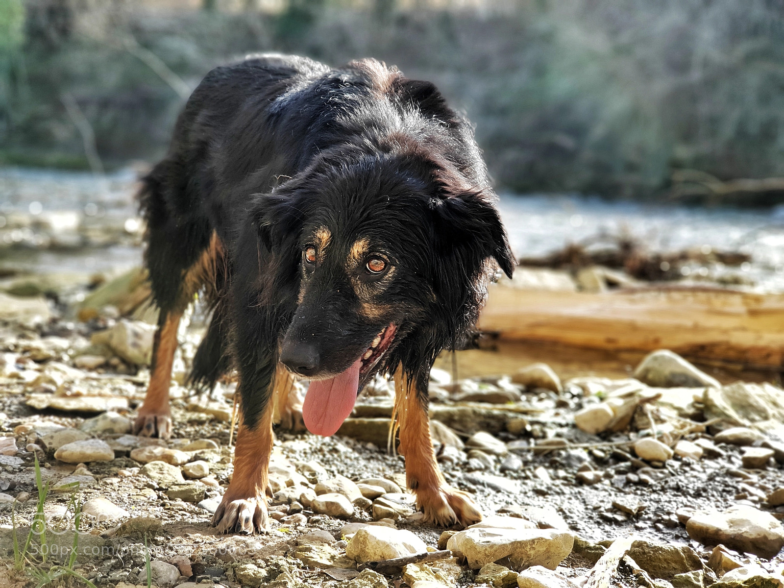 Samsung Galaxy S9+ sample photo. Untitled photography