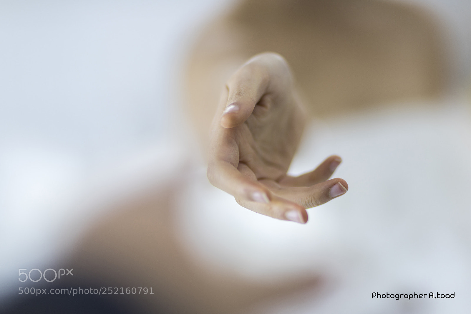 Canon EOS 6D Mark II sample photo. The mist photography