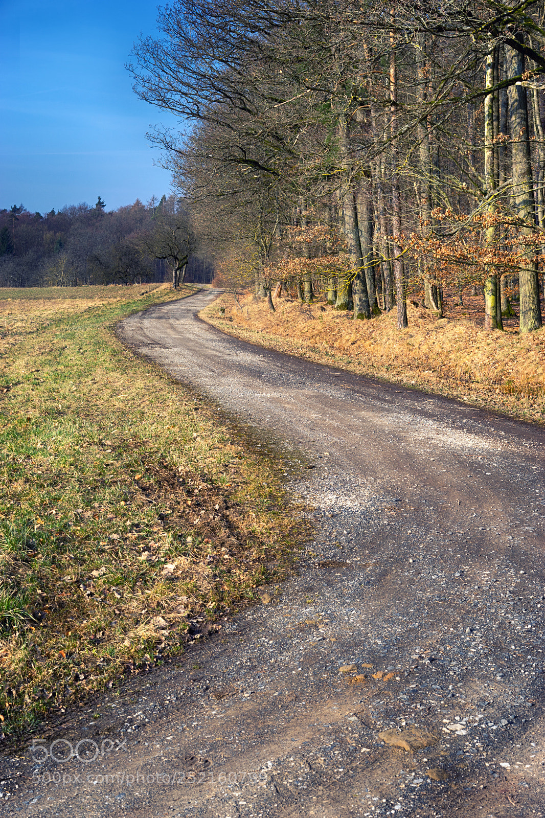 Sony a7 sample photo. Rural landscape view in photography