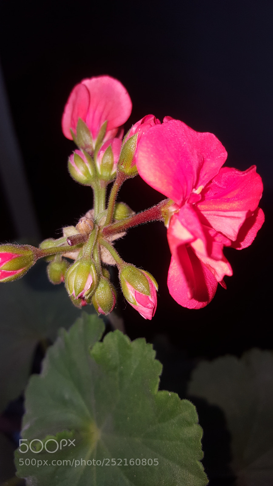 Samsung GALAXY S6 edge sample photo. Untitled photography
