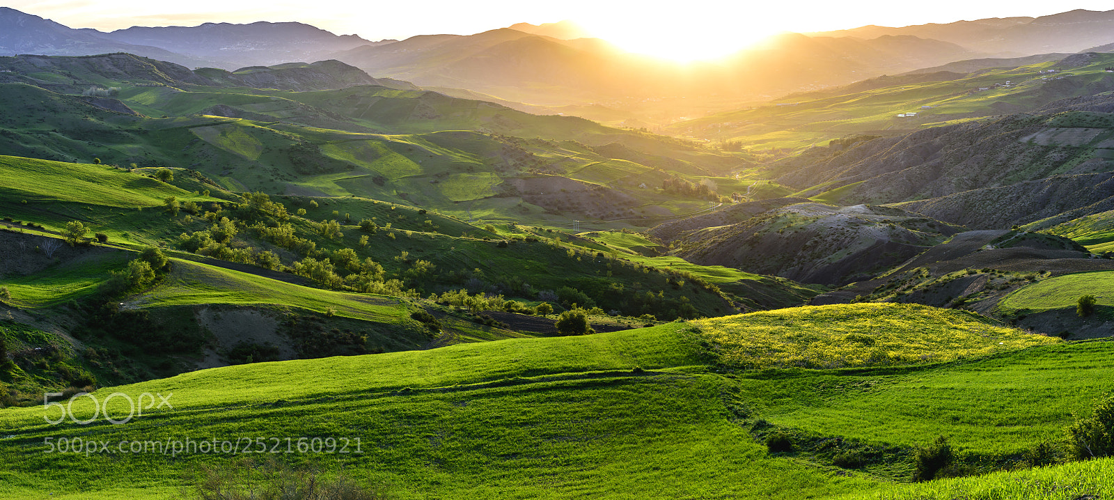 Nikon D810 sample photo. Green spring photography