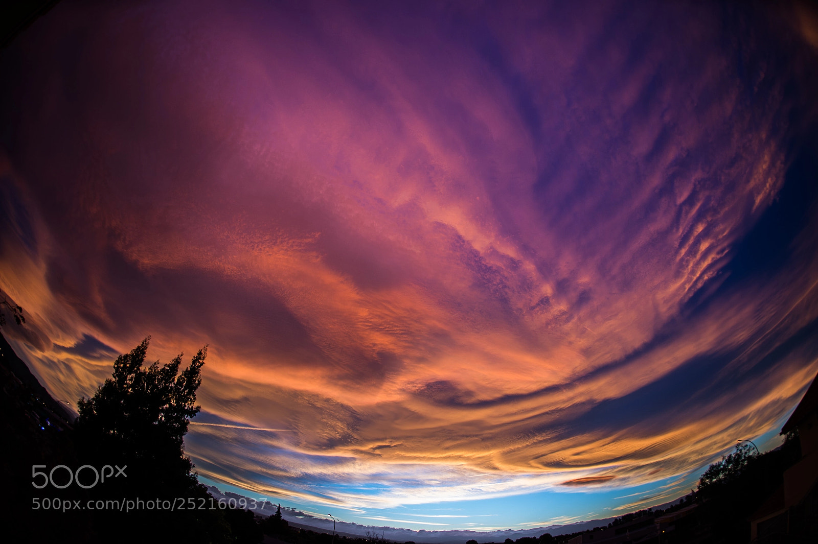 Nikon D4 sample photo. Sunset : nelson : new zealand photography