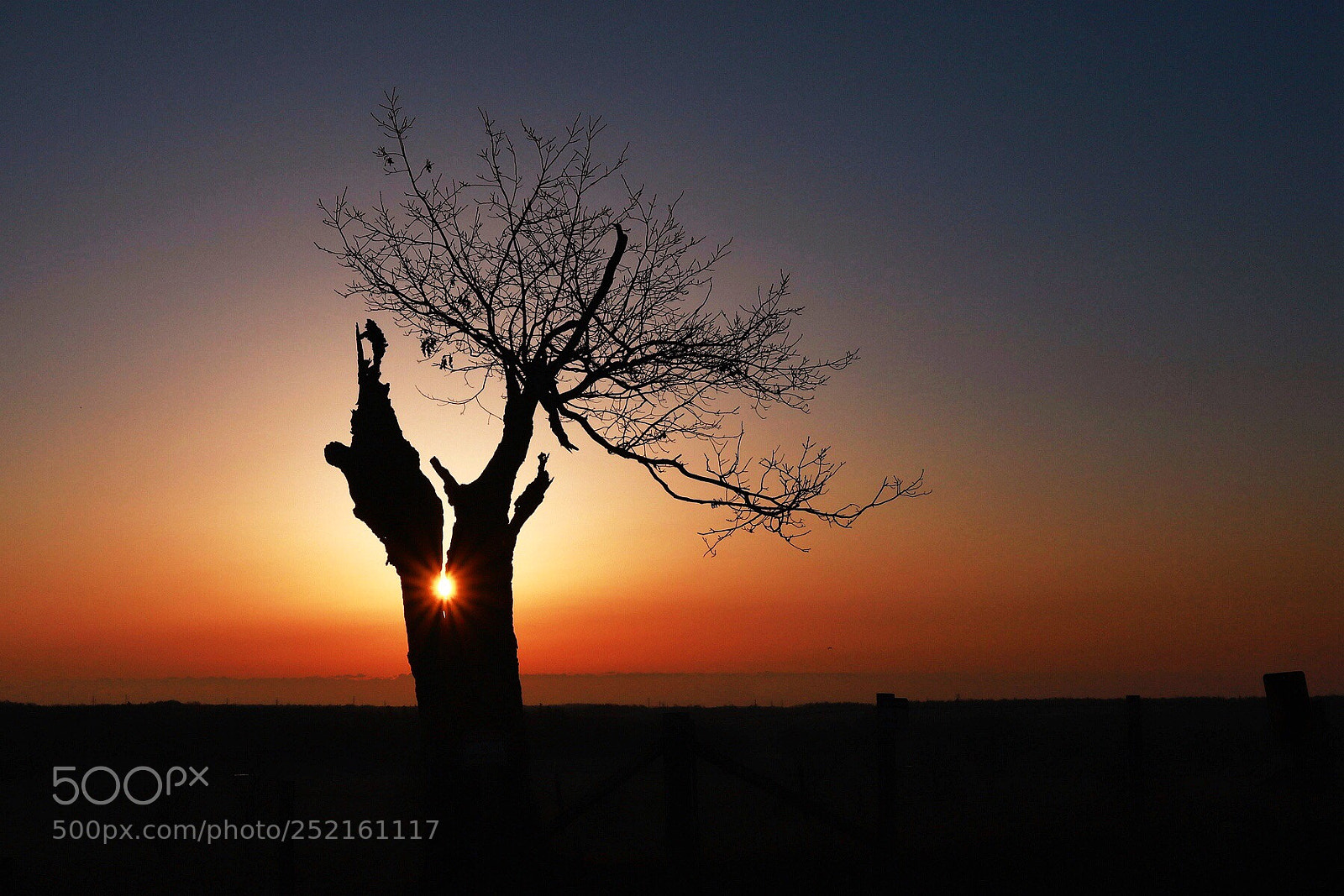Canon EOS 6D Mark II sample photo. Heart of a lonely photography