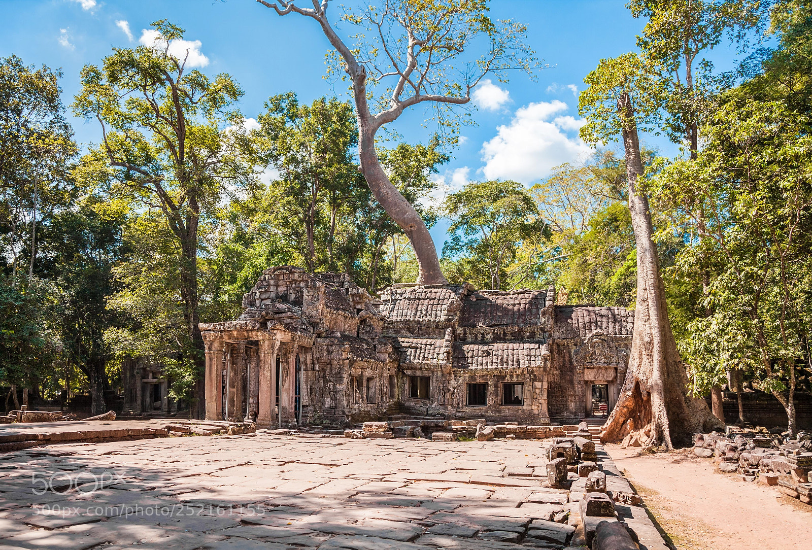 Canon EOS 5D Mark II sample photo. Ta prohm temple in photography