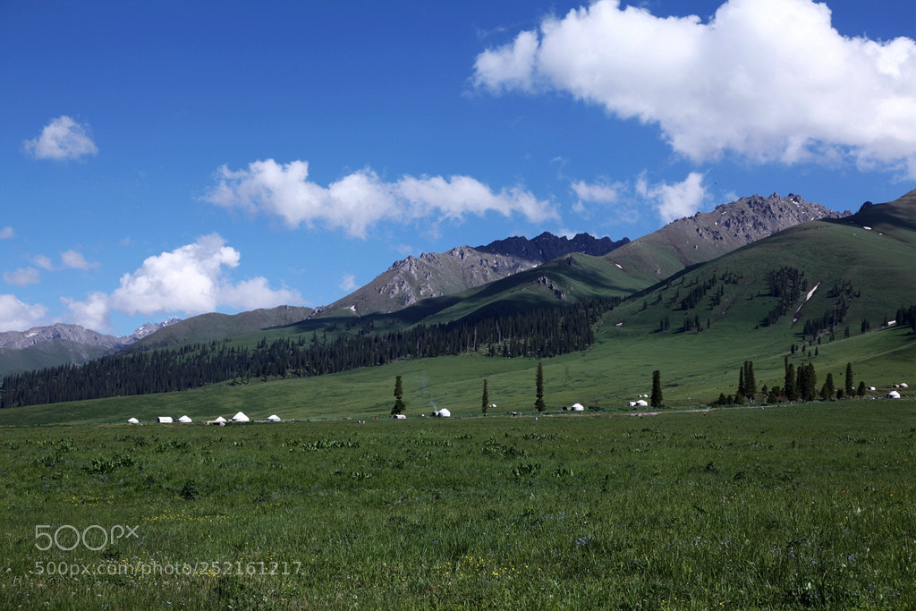 Canon EF 24-105mm F4L IS USM sample photo. Img photography