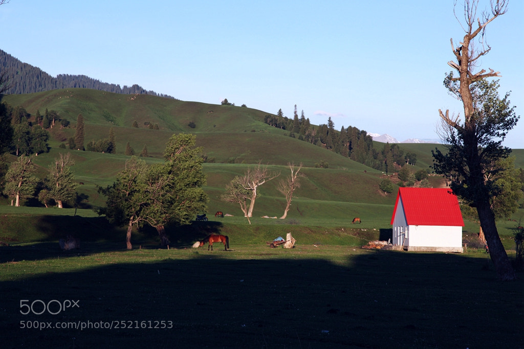 Canon EF 24-105mm F4L IS USM sample photo. Img photography