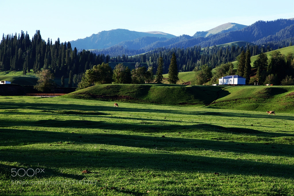 Canon EF 24-105mm F4L IS USM sample photo. Img photography