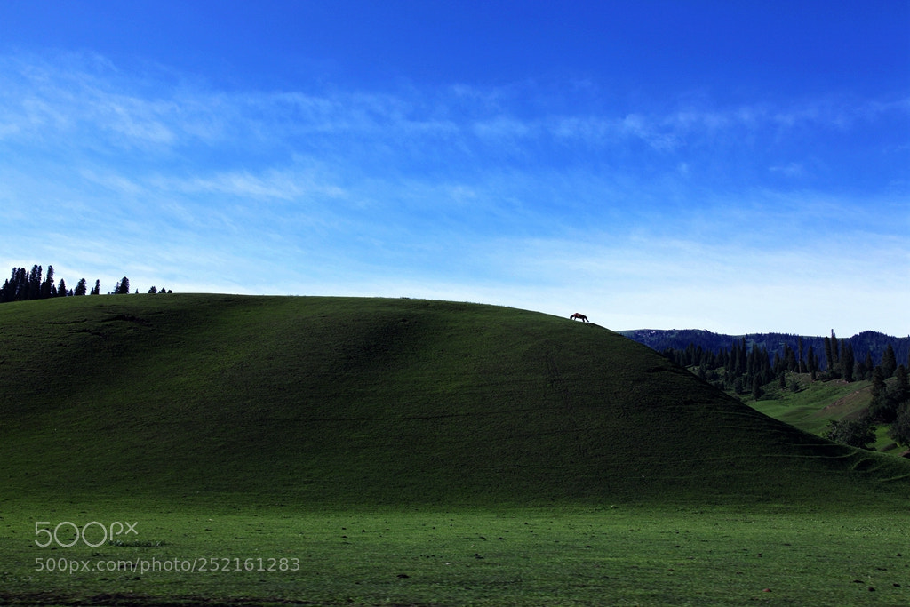 Canon EF 24-105mm F4L IS USM sample photo. Img photography