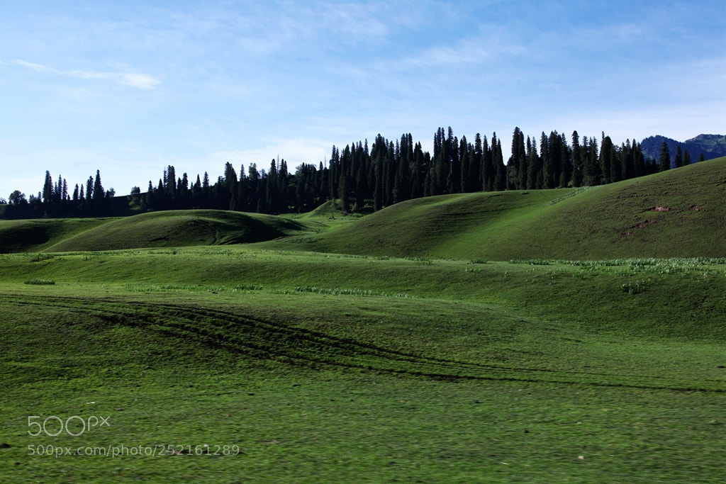 Canon EF 24-105mm F4L IS USM sample photo. Img photography