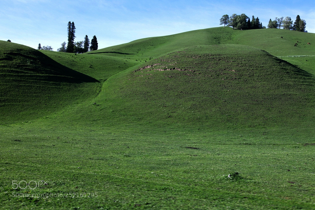Canon EOS 5D Mark II sample photo. Img photography