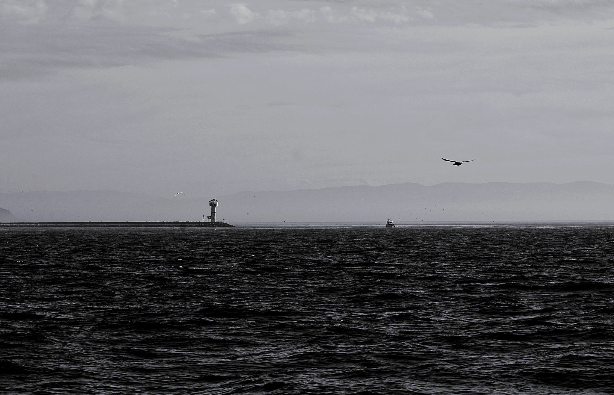 Nikon D7000 sample photo. Oa45 photography