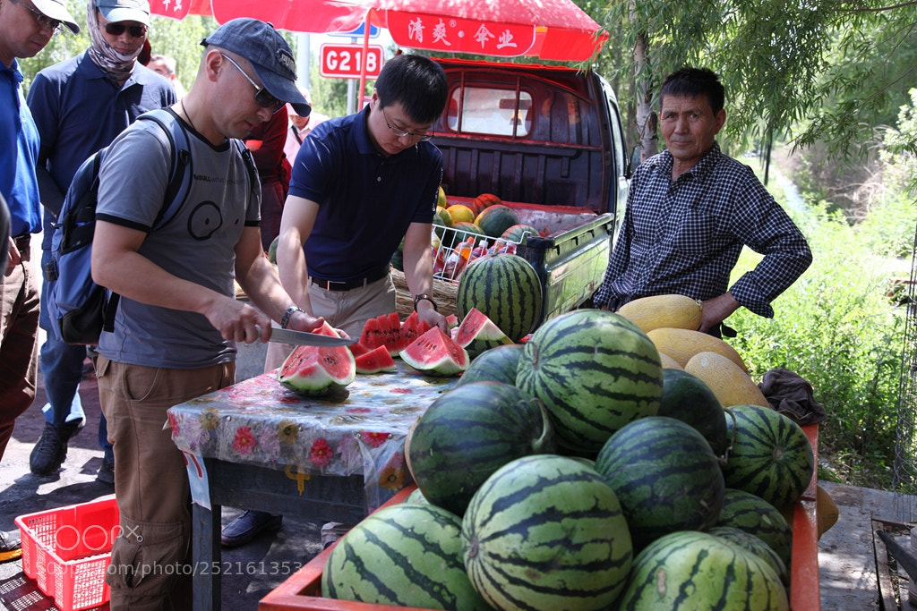 Canon EF 24-105mm F4L IS USM sample photo. Img photography