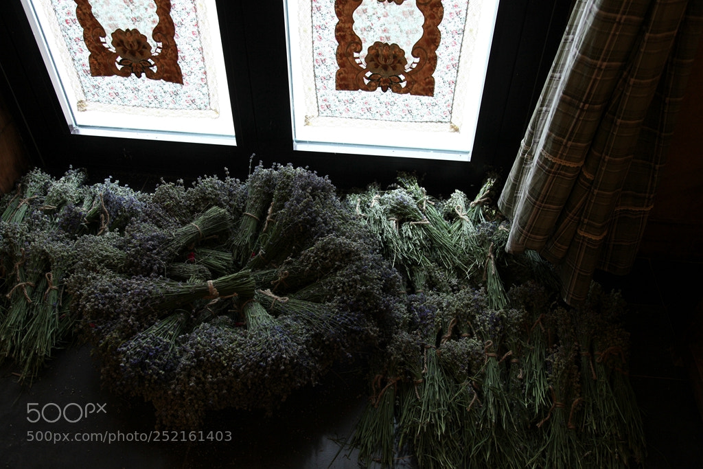 Canon EF 24-105mm F4L IS USM sample photo. Img photography
