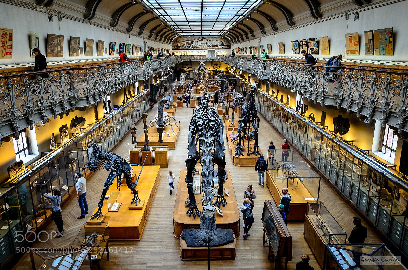 Nikon D7000 sample photo. National museum of natural photography