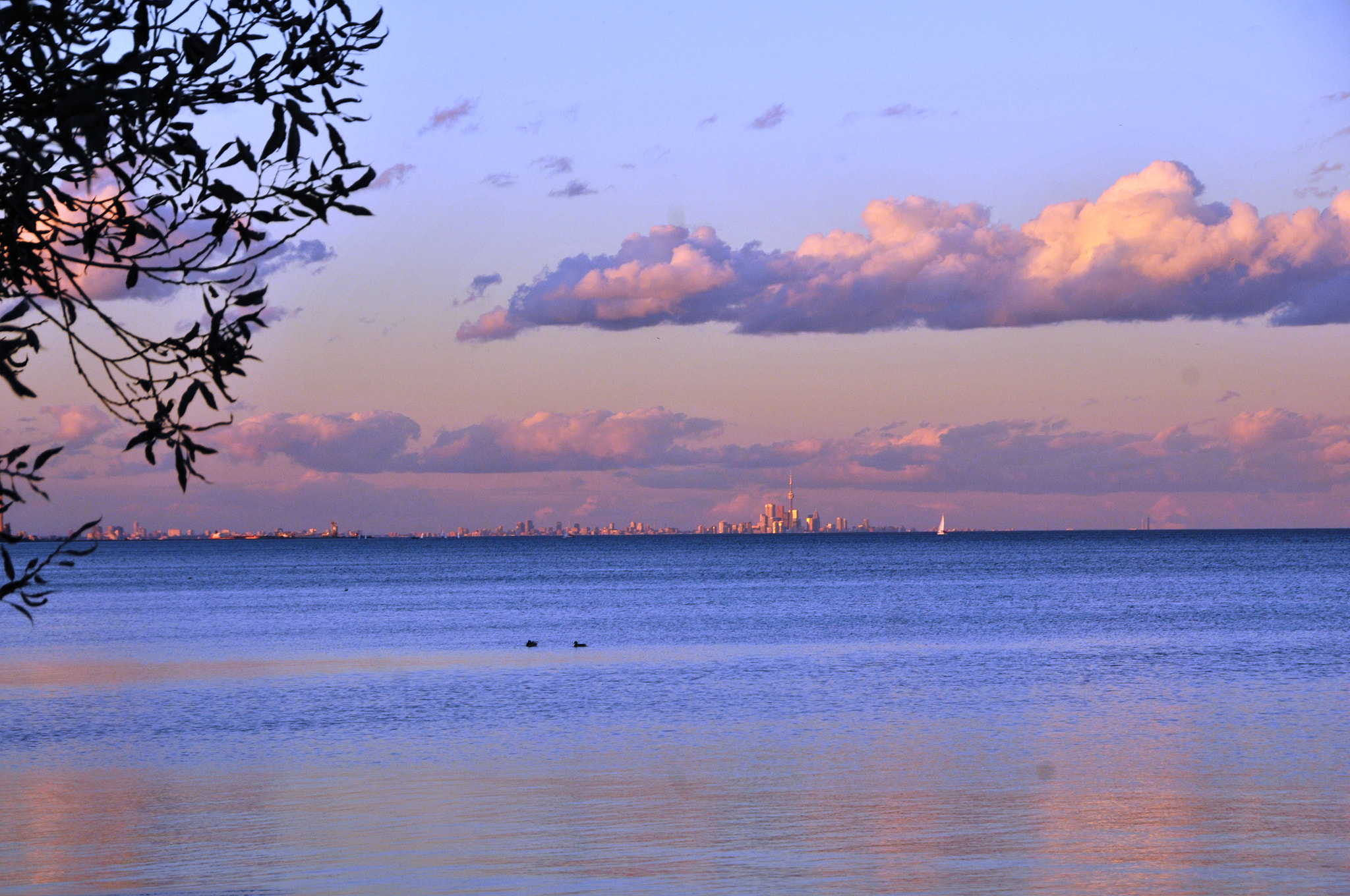 Nikon D300S sample photo. Picture nilon ds photography