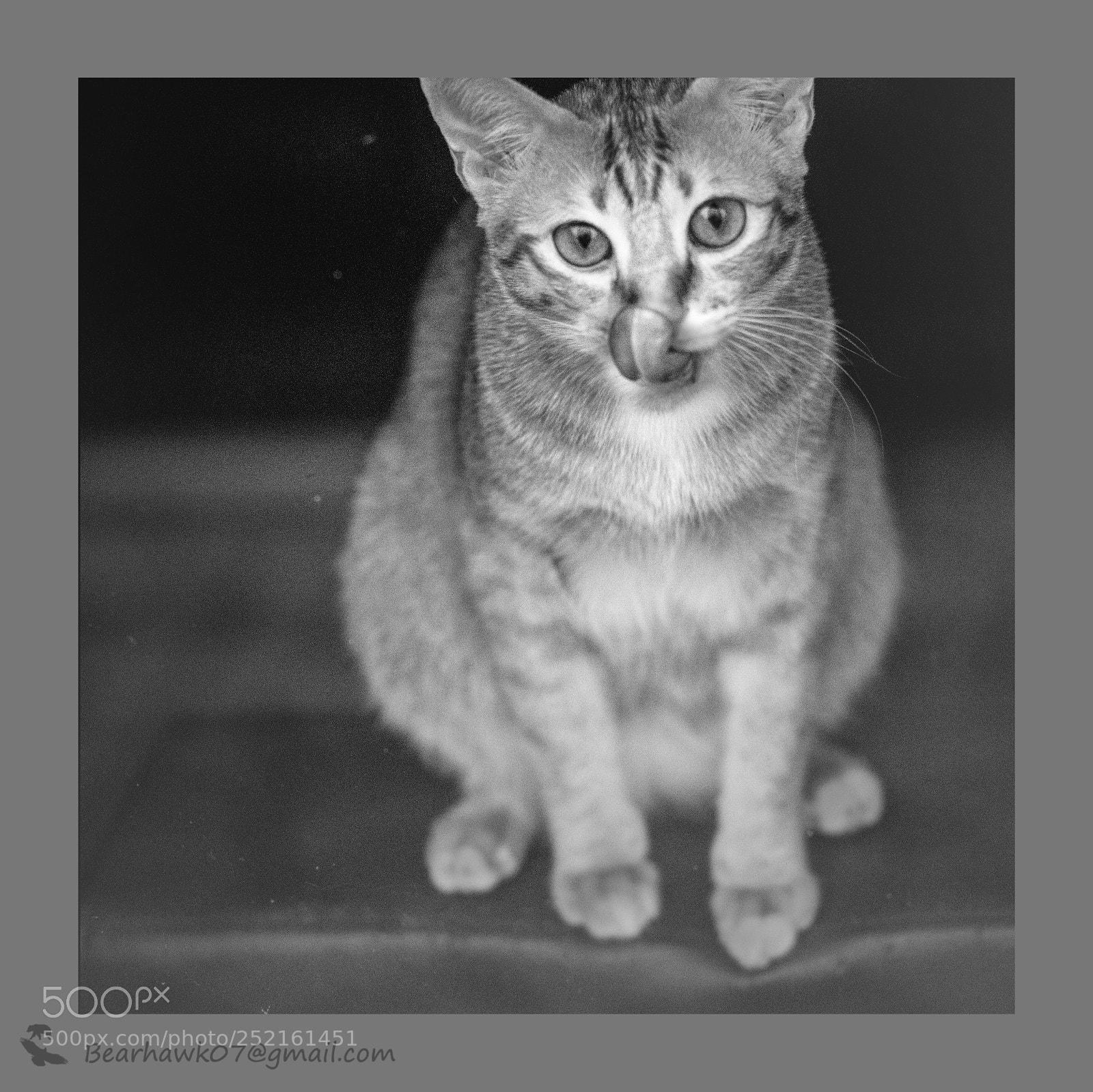 Nikon D7200 sample photo. Copy photography