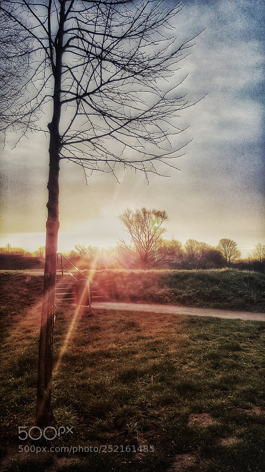 Samsung Galaxy S6 sample photo. • today's morning sun • photography