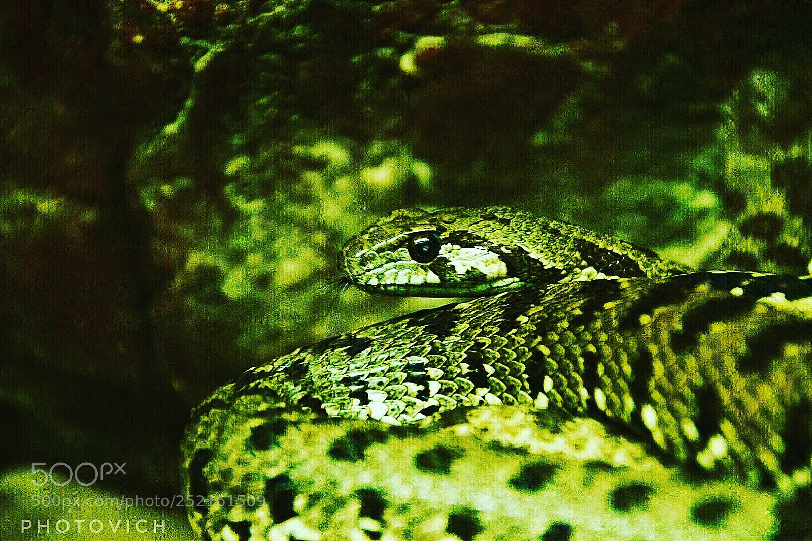 Nikon D5300 sample photo. Untitled photography