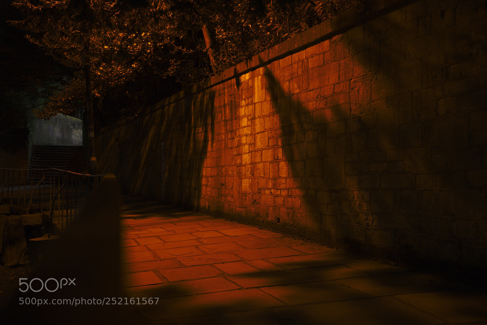 Sony a7 II sample photo. Orange glow photography