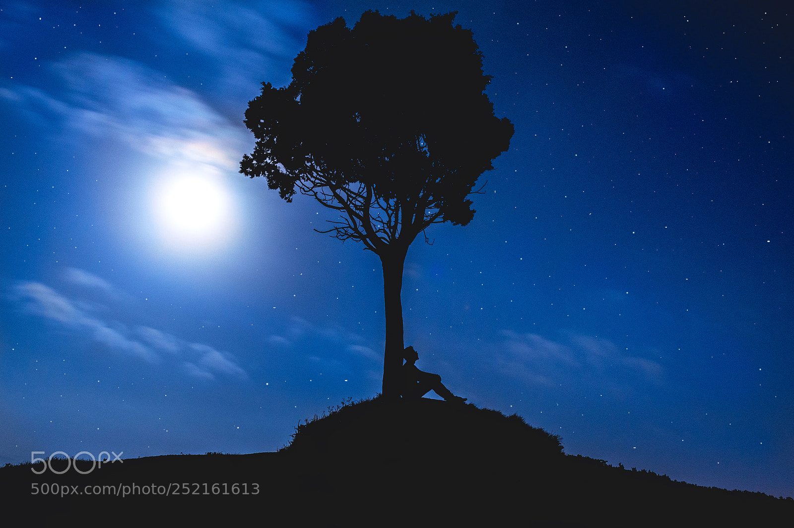 Nikon D3200 sample photo. Stare at the stars photography