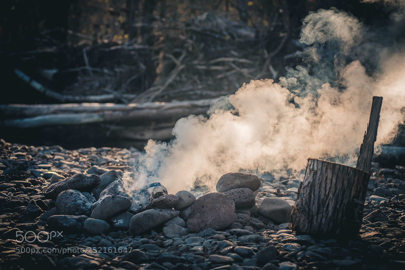 Nikon D600 sample photo. Костерок photography