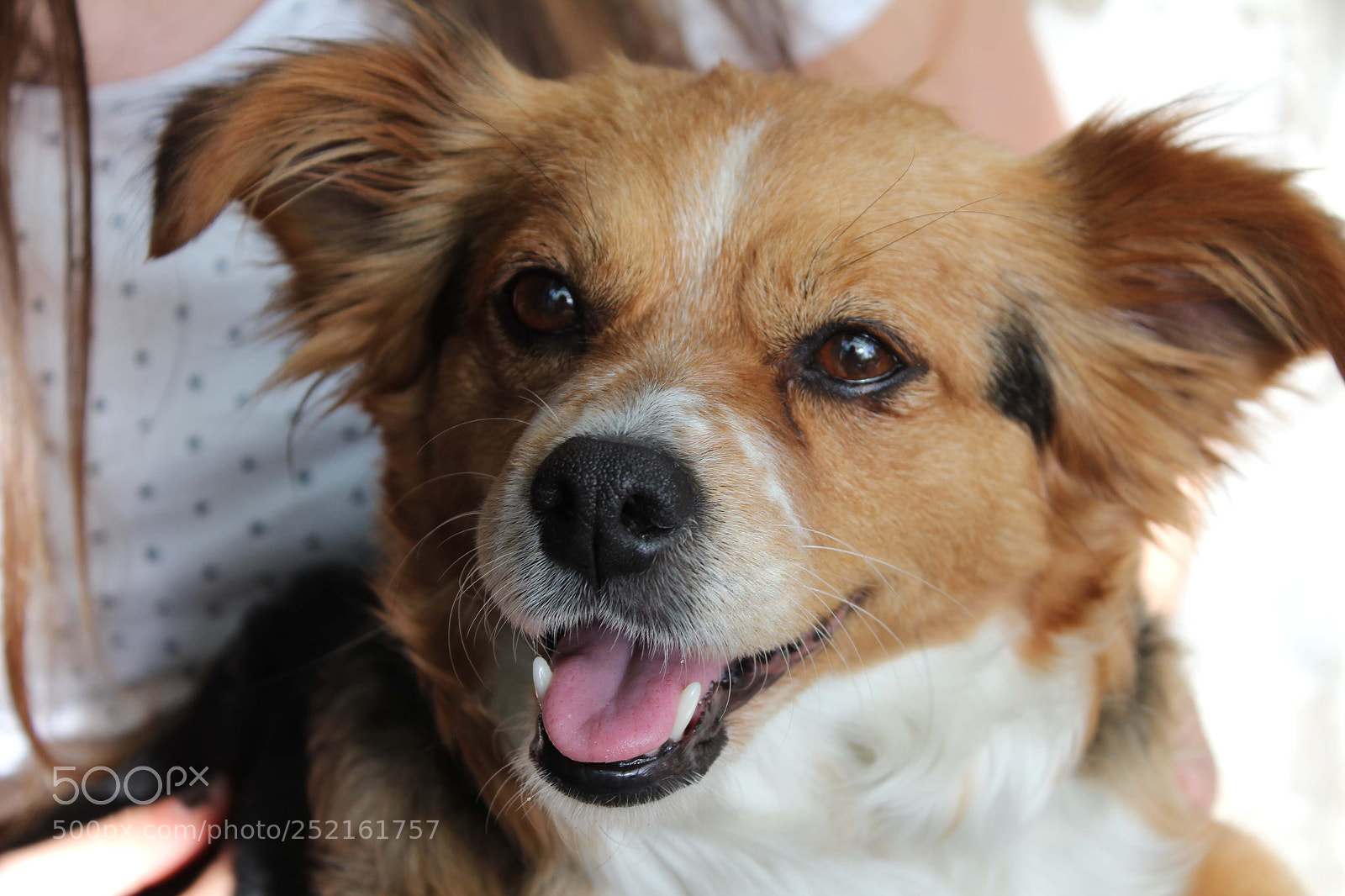 Canon EOS 1200D (EOS Rebel T5 / EOS Kiss X70 / EOS Hi) sample photo. Lucy photography