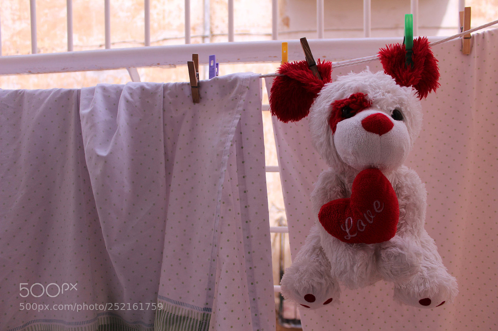 Canon EOS 1200D (EOS Rebel T5 / EOS Kiss X70 / EOS Hi) sample photo. Feeling home photography