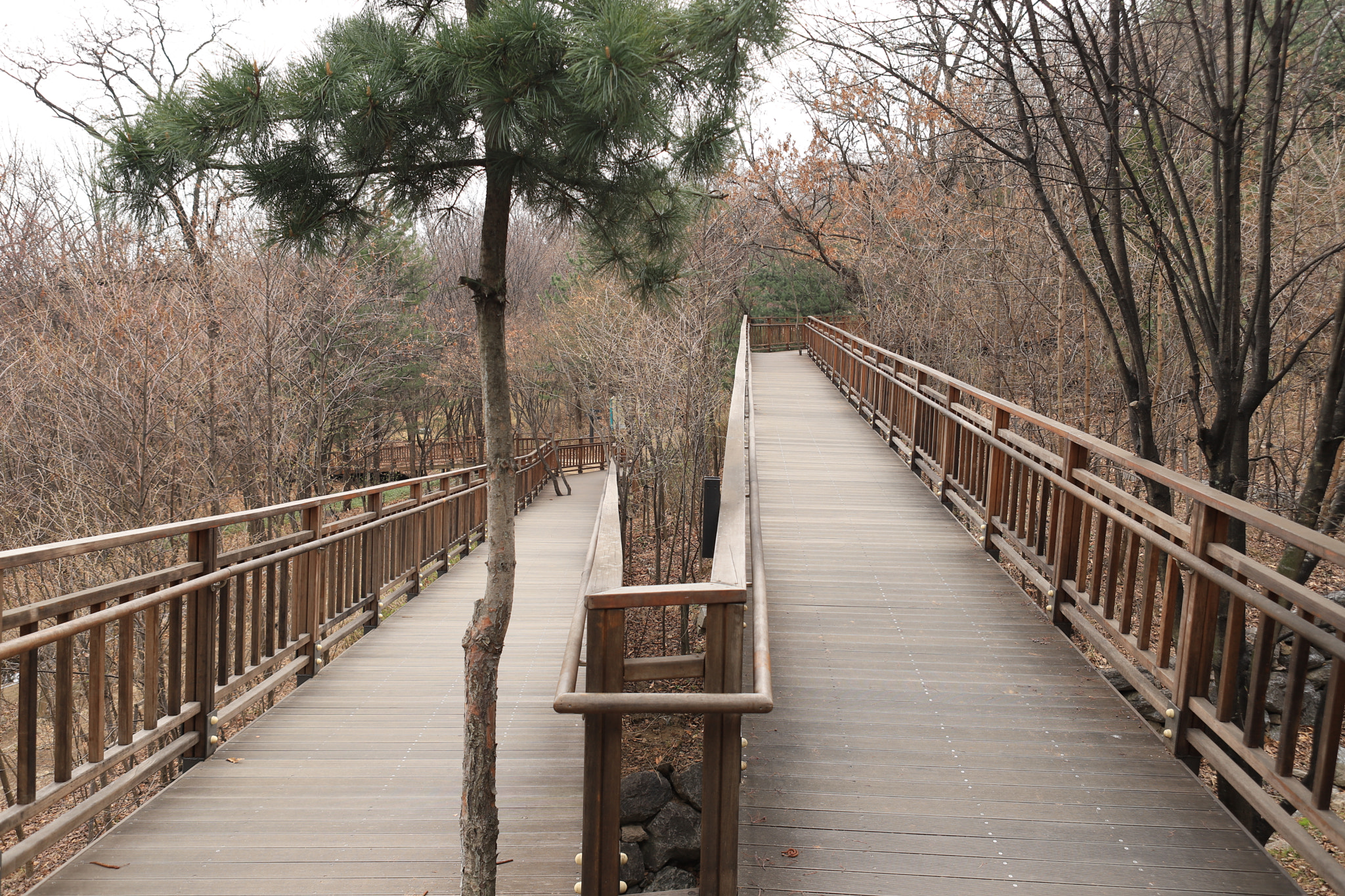 Canon EF 24-70mm F2.8L USM sample photo. Way photography