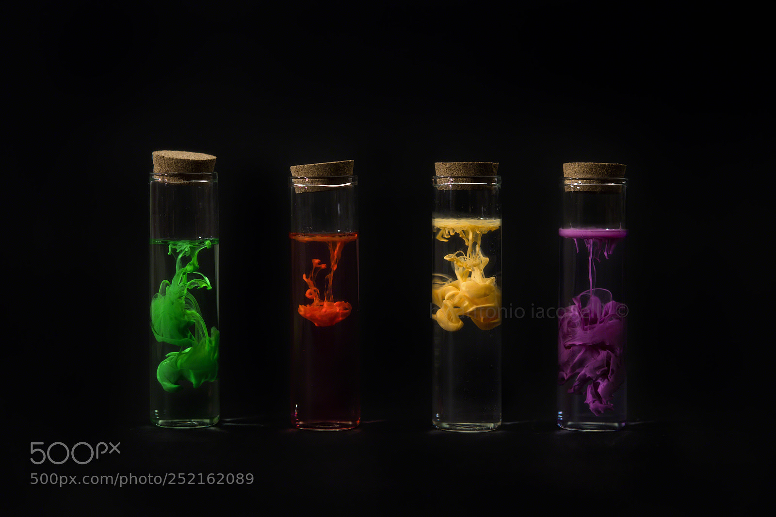 Nikon D850 sample photo. Isolate colors... photography