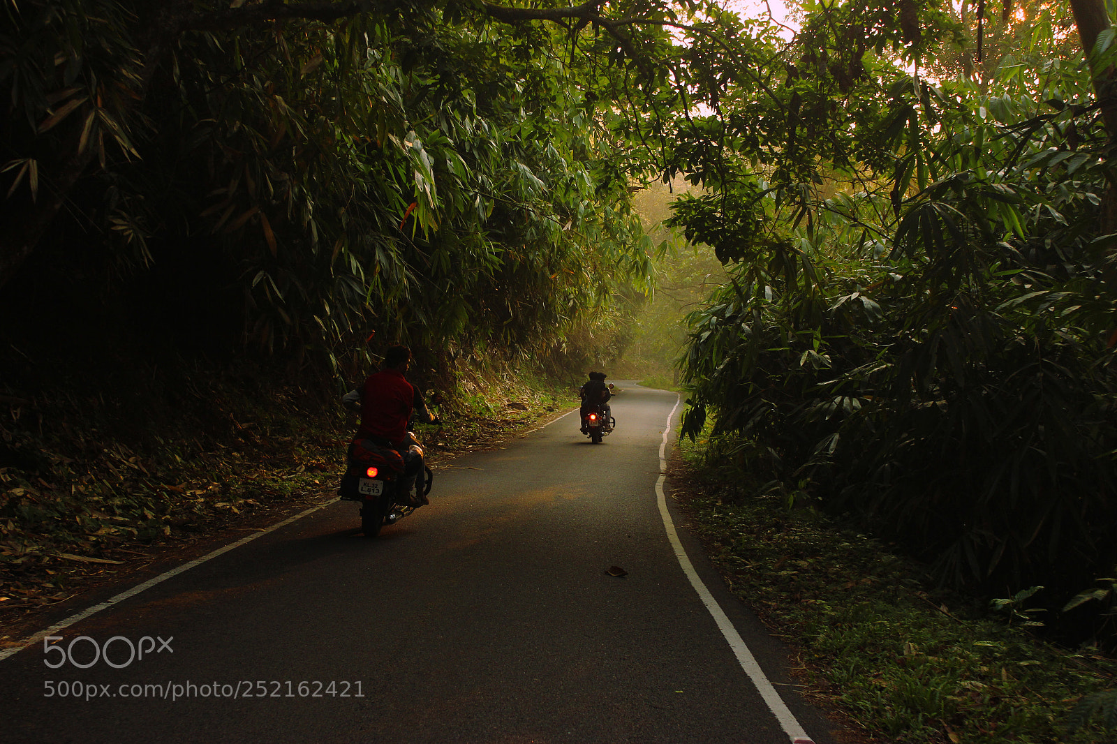 Canon EOS 600D (Rebel EOS T3i / EOS Kiss X5) sample photo. Ride through the nature photography