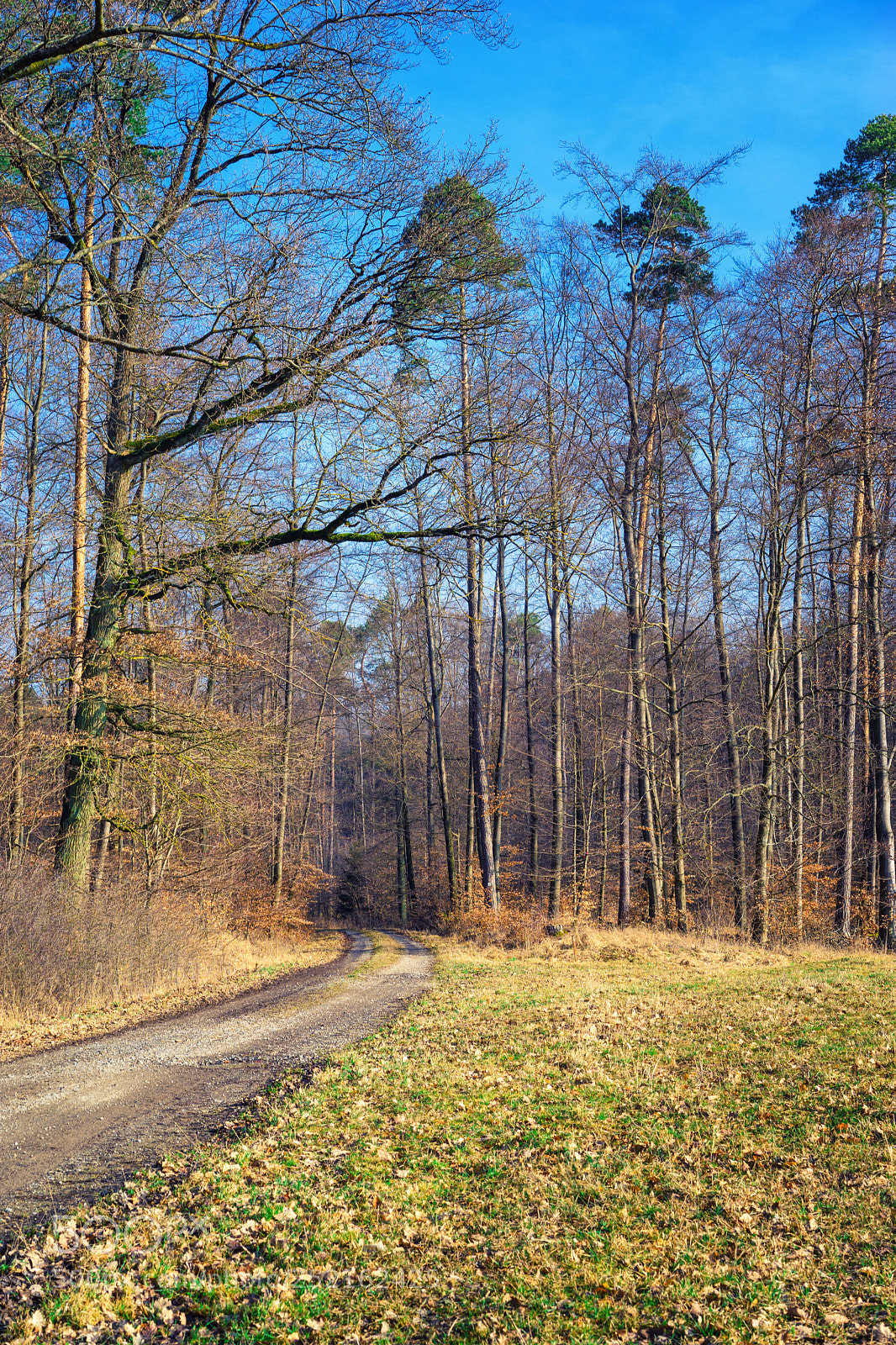 Sony a7 sample photo. Rural landscape view in photography