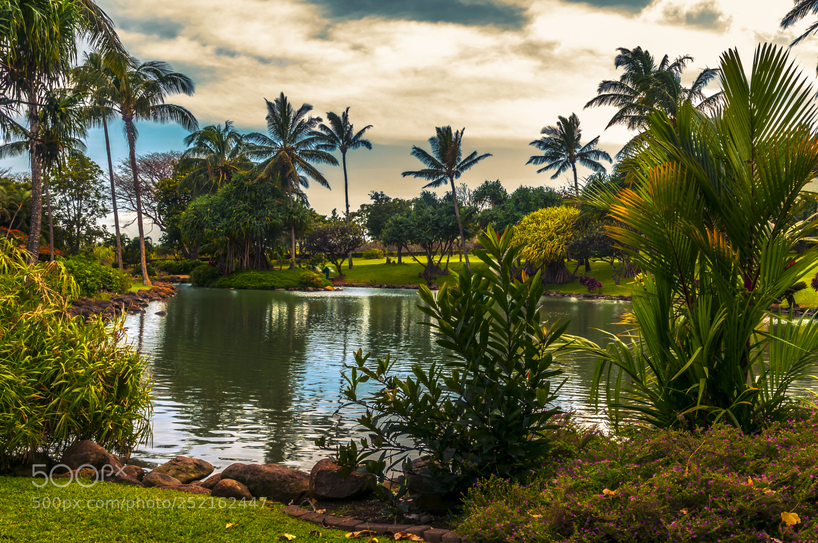 Nikon D300 sample photo. Lazy lagoon photography