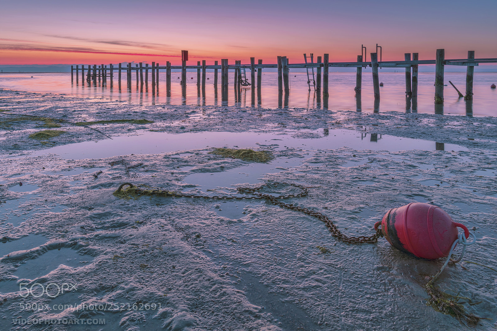 Nikon D850 sample photo. Tied to the ocean photography
