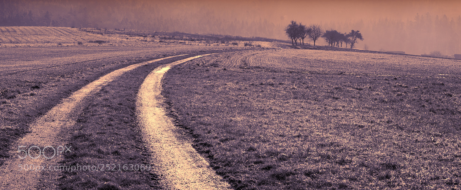 Sony a7 sample photo. Toned rural landscape view photography