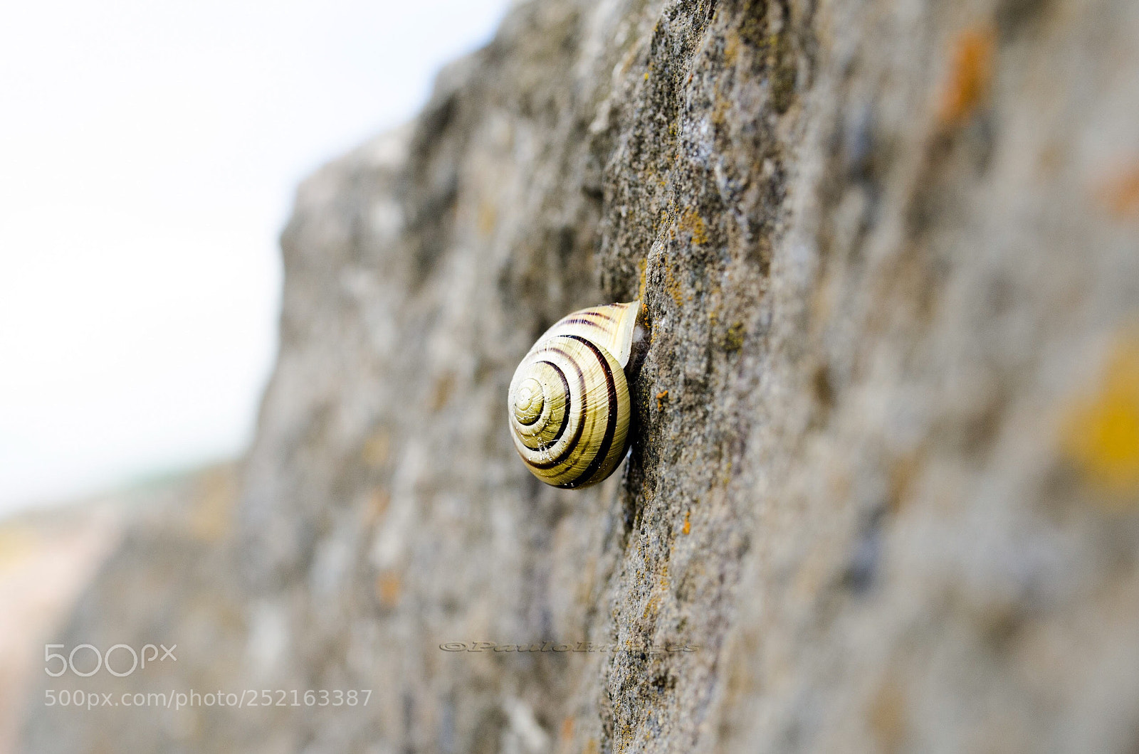 Nikon D7000 sample photo. Nature s patterns always photography