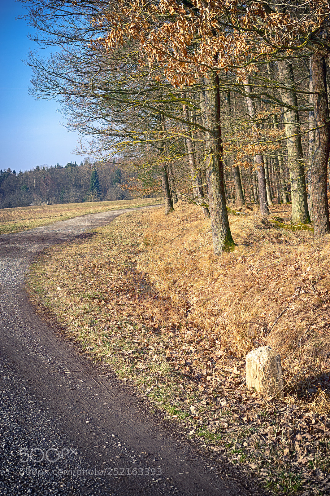 Sony a7 sample photo. Rural landscape view in photography