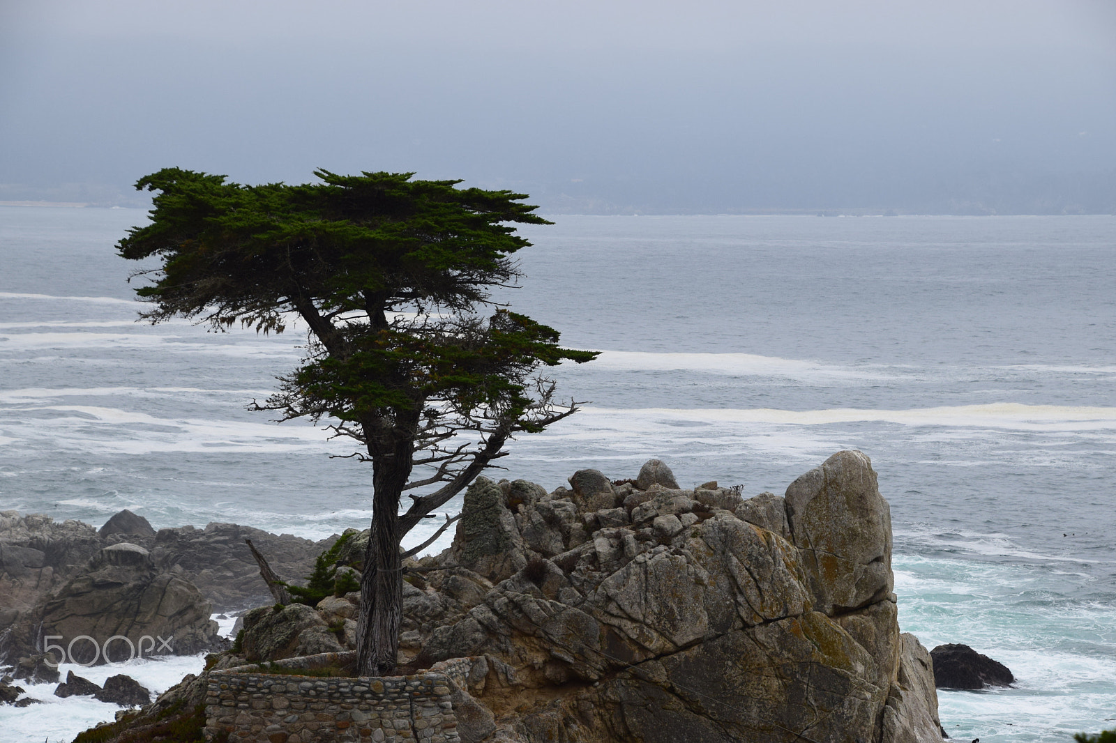 Nikon D5300 sample photo. Lone cypress photography