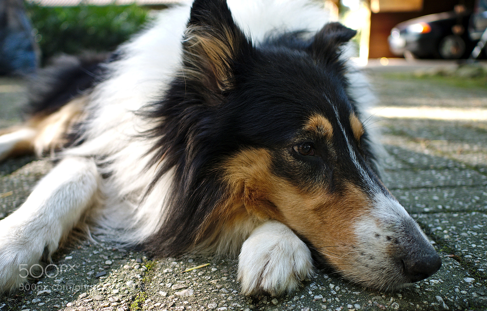Panasonic Lumix DMC-GX7 sample photo. Boff! photography