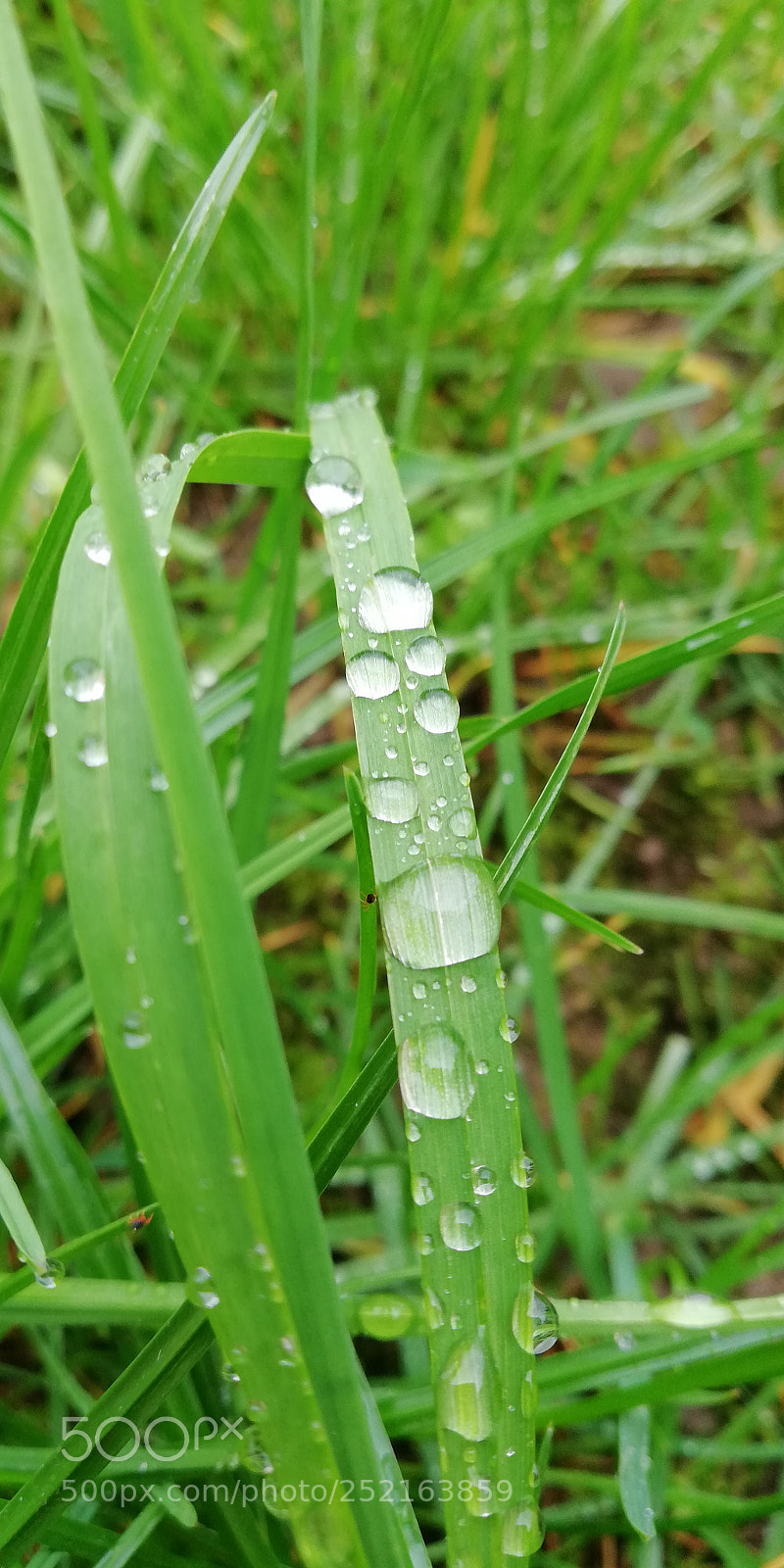HUAWEI Mate 10 Lite sample photo. Untitled photography