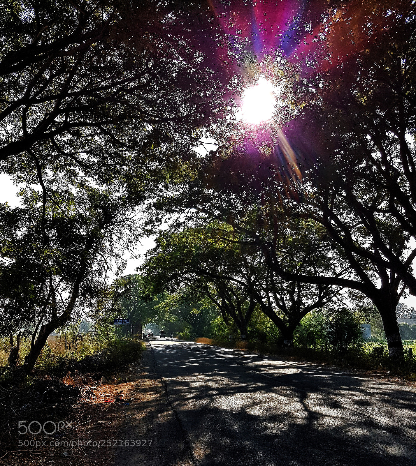 Samsung Galaxy S7 sample photo. Sunshine photography