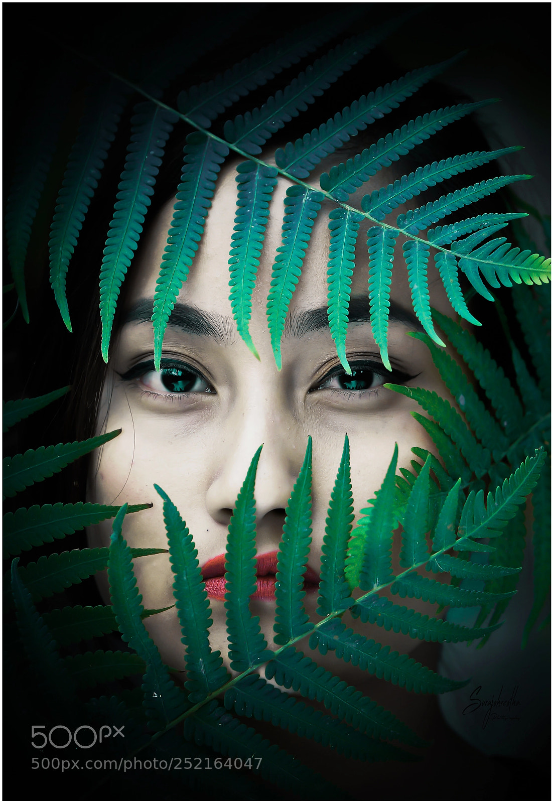 Nikon D600 sample photo. Cpori photography