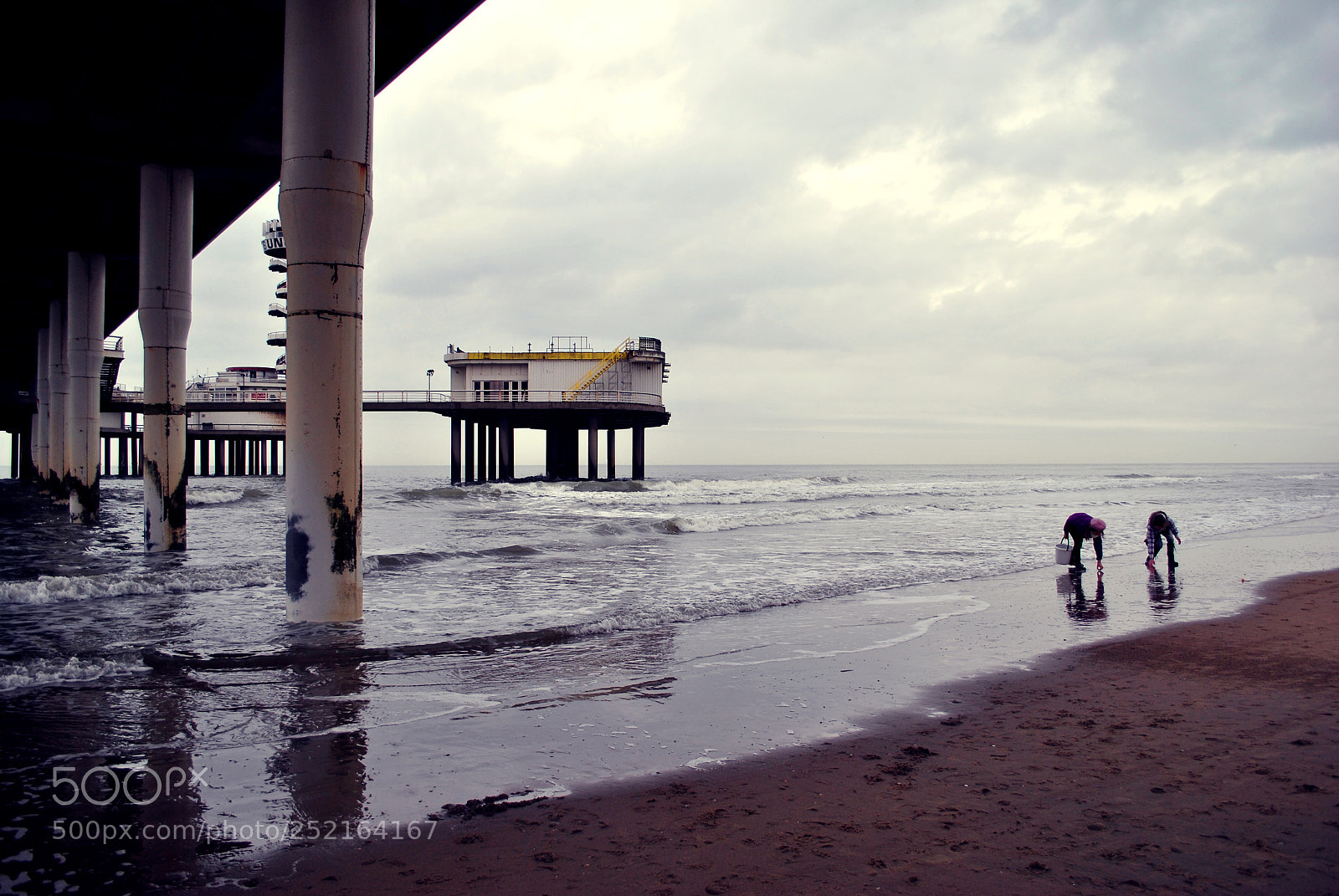 Nikon D3000 sample photo. Untitled photography
