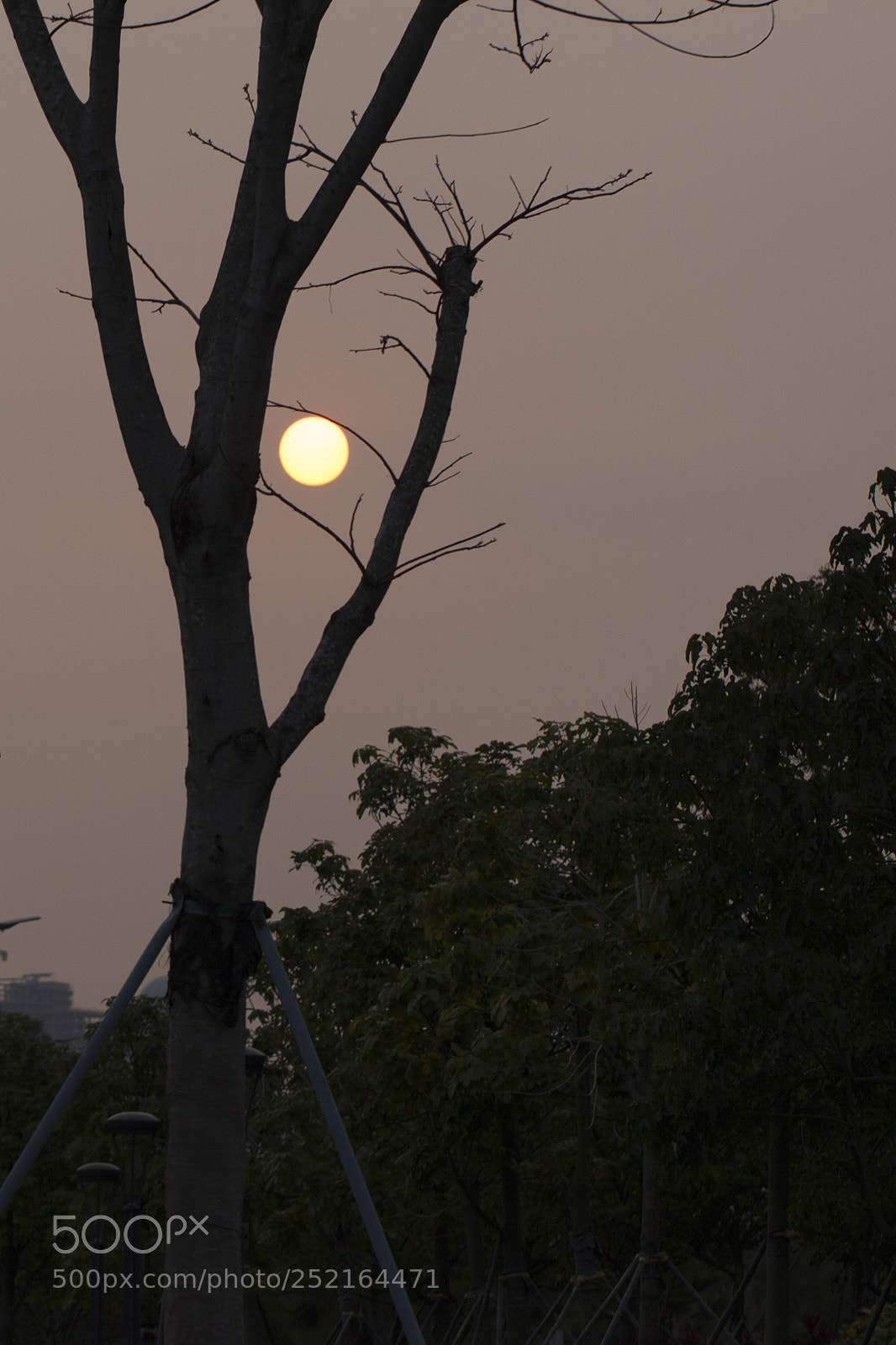 Canon EOS 5D Mark II sample photo. Sunset photography