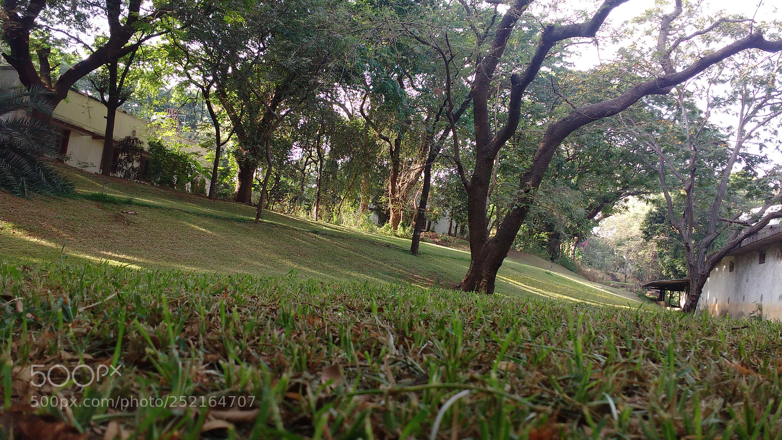Motorola MotoG3 sample photo. Lawn photography