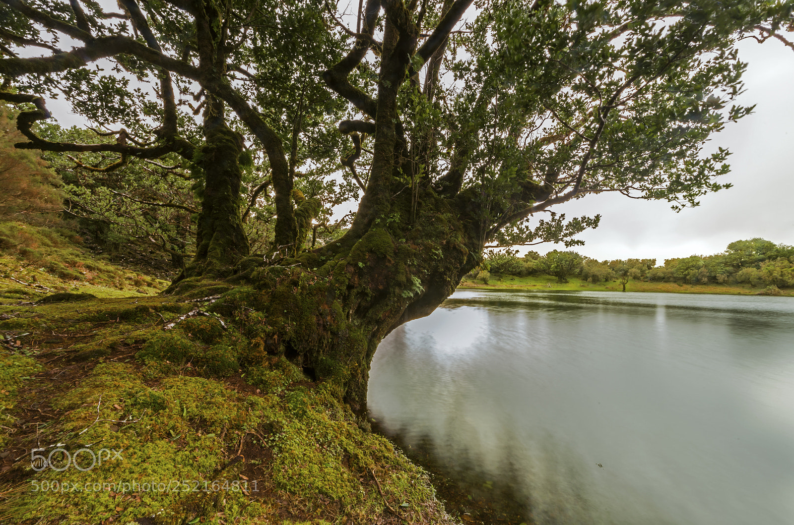 Nikon D610 sample photo. By the lake photography