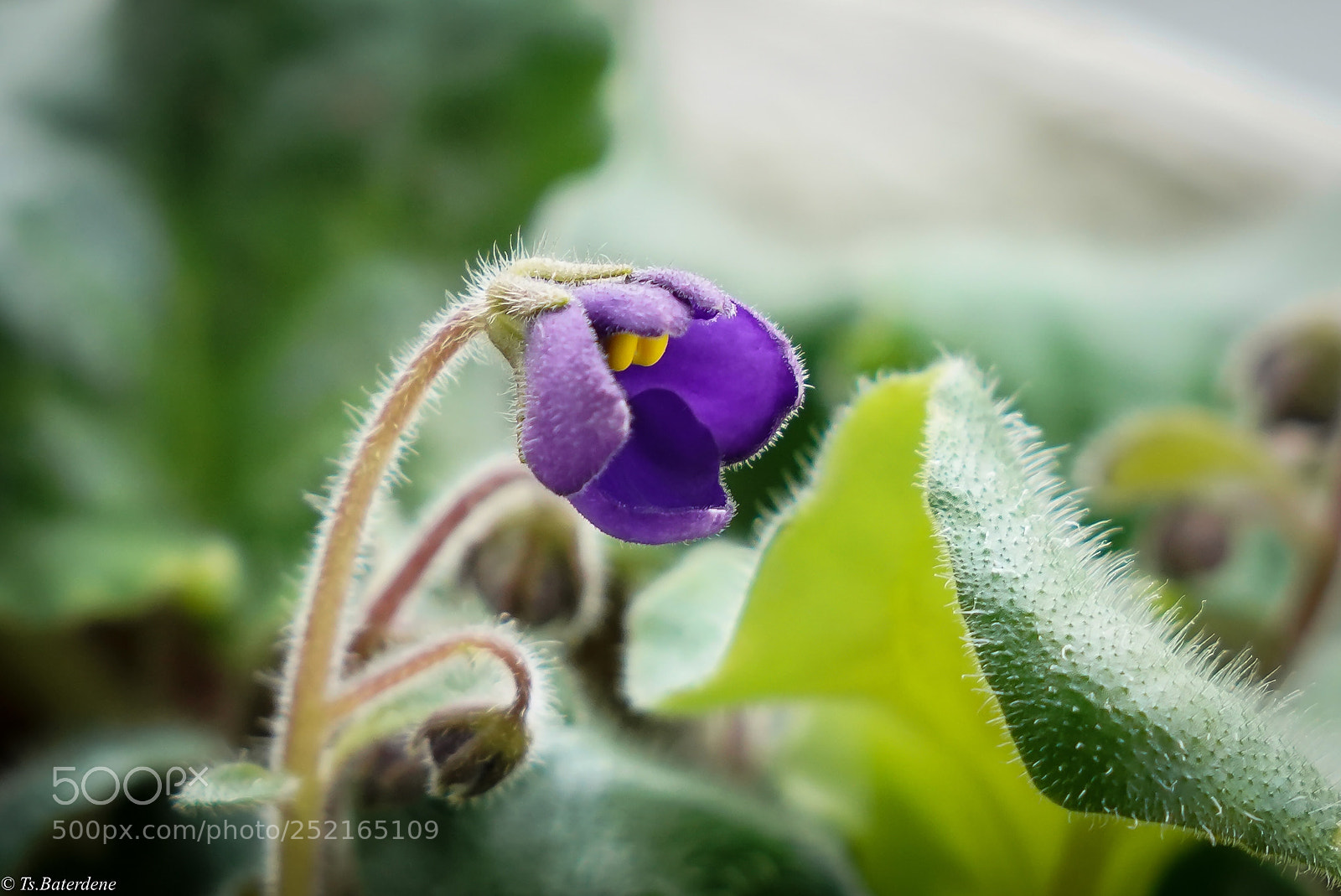 Sony a7R III sample photo. Untitled photography