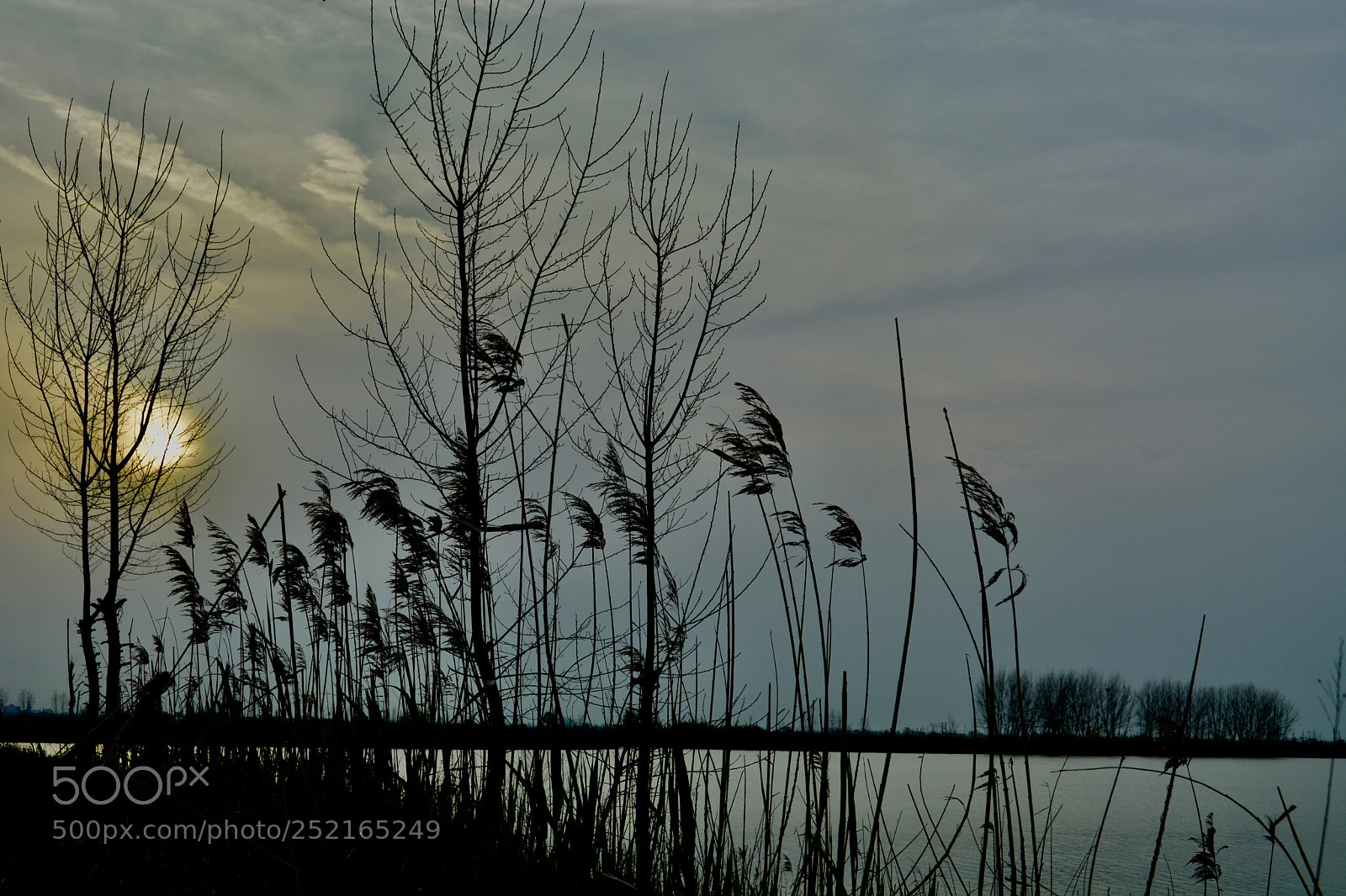 Nikon D5200 sample photo. Sunset photography