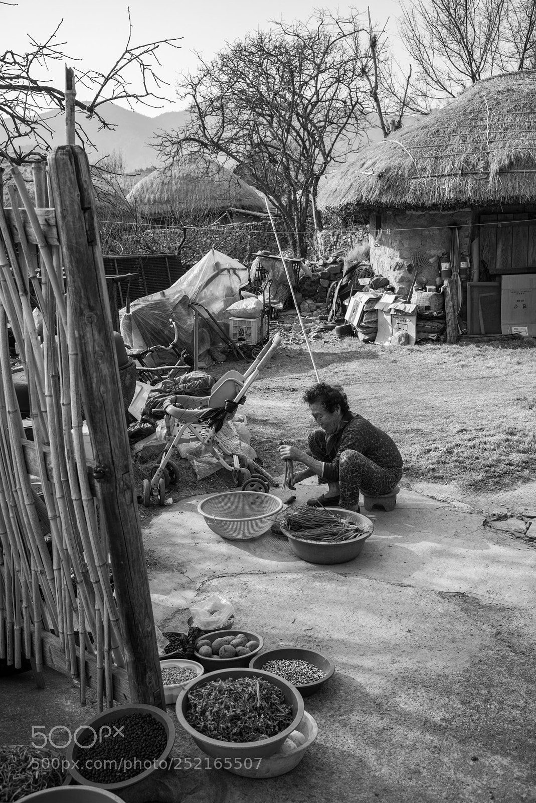 Leica M (Typ 240) sample photo. Untitled photography