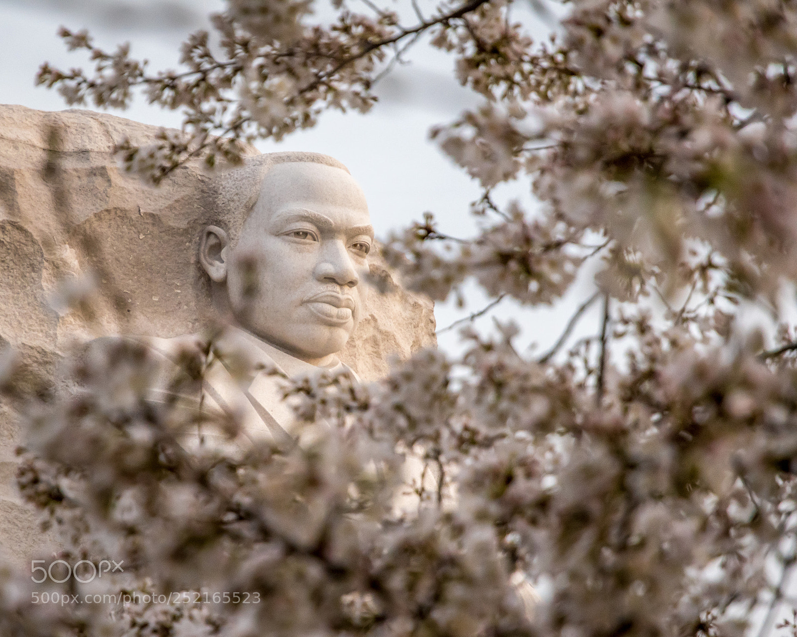 Nikon D5500 sample photo. Mlk memorial, washington, d.c photography
