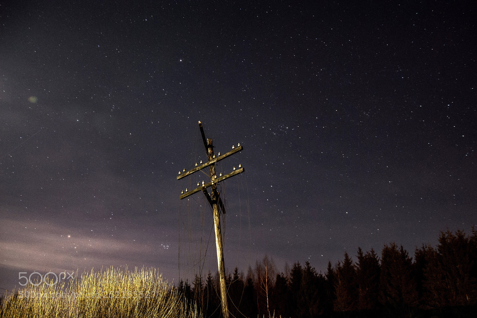 Nikon D3000 sample photo. Star night photography